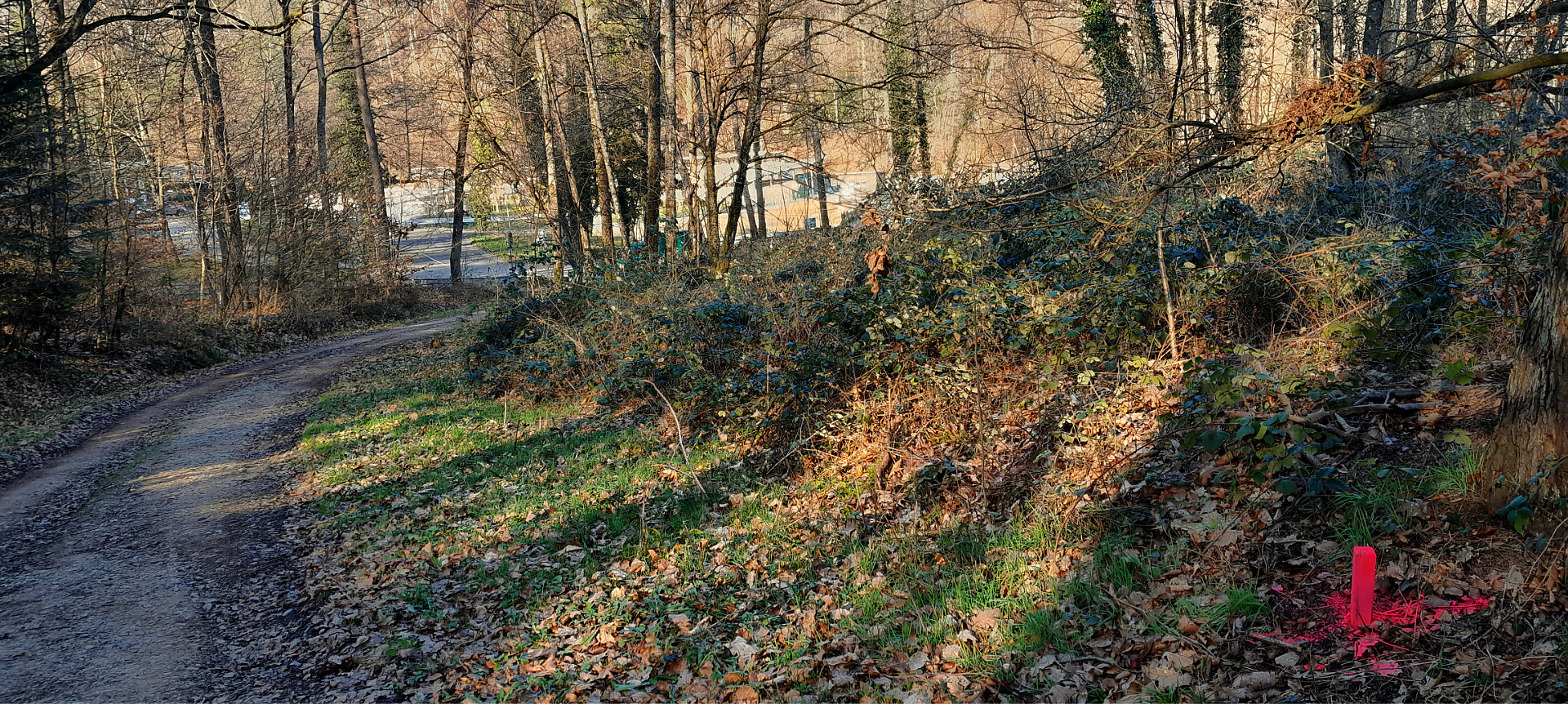 PM Stadt 10022023